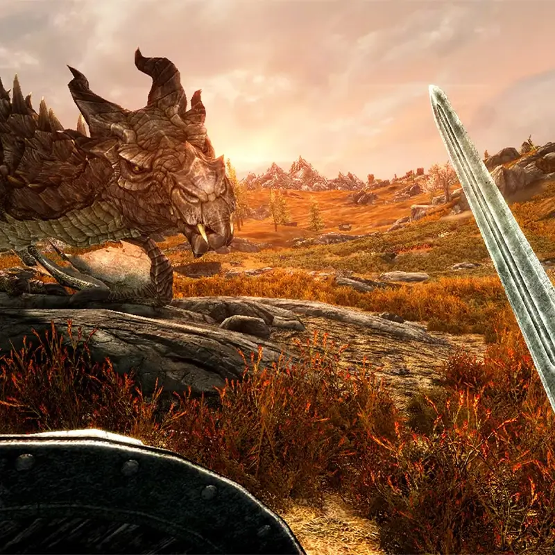 The Elder Scrolls V: Skyrim VR برای PS4  کارکرده